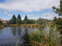 Michaels Avenue Reserve